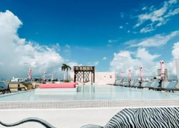 Hotel The Palm (adults Only)