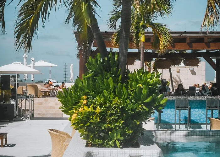 The Palm (adults Only) 4*