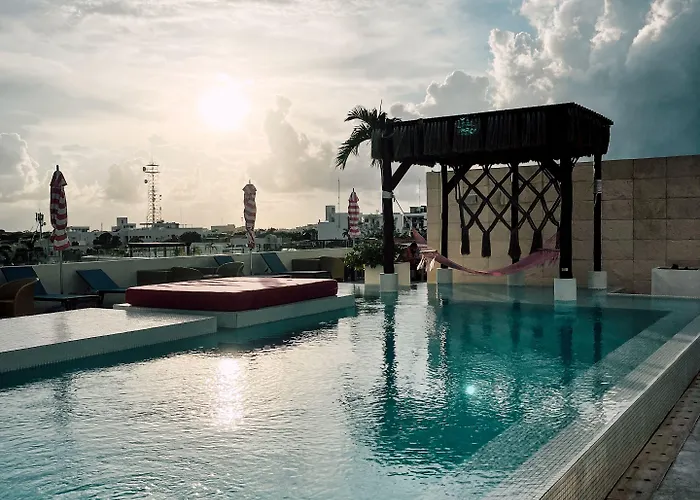 The Palm (adults Only)