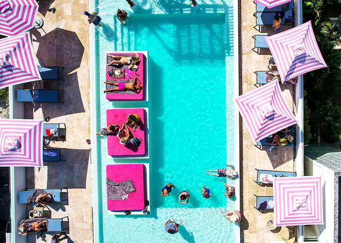 The Palm (adults Only)