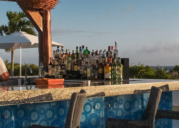 Hotel The Palm (adults Only) 4*