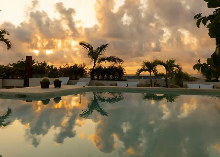 The Palm (adults Only) Hotel